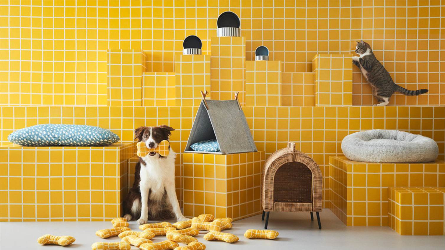 Creating a Safe and Comfortable Home for Your Pet